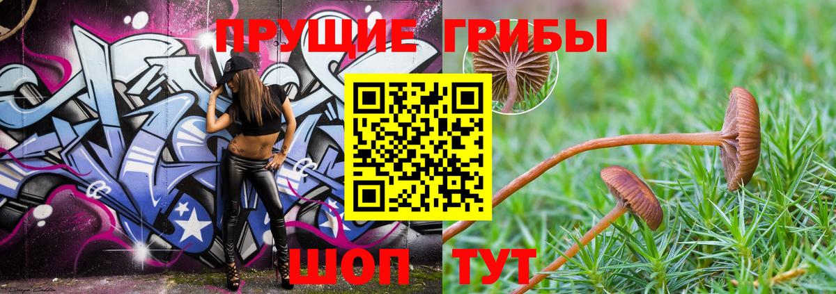 Псилоцибиновые грибы MAGIC MUSHROOMS Бузулук
