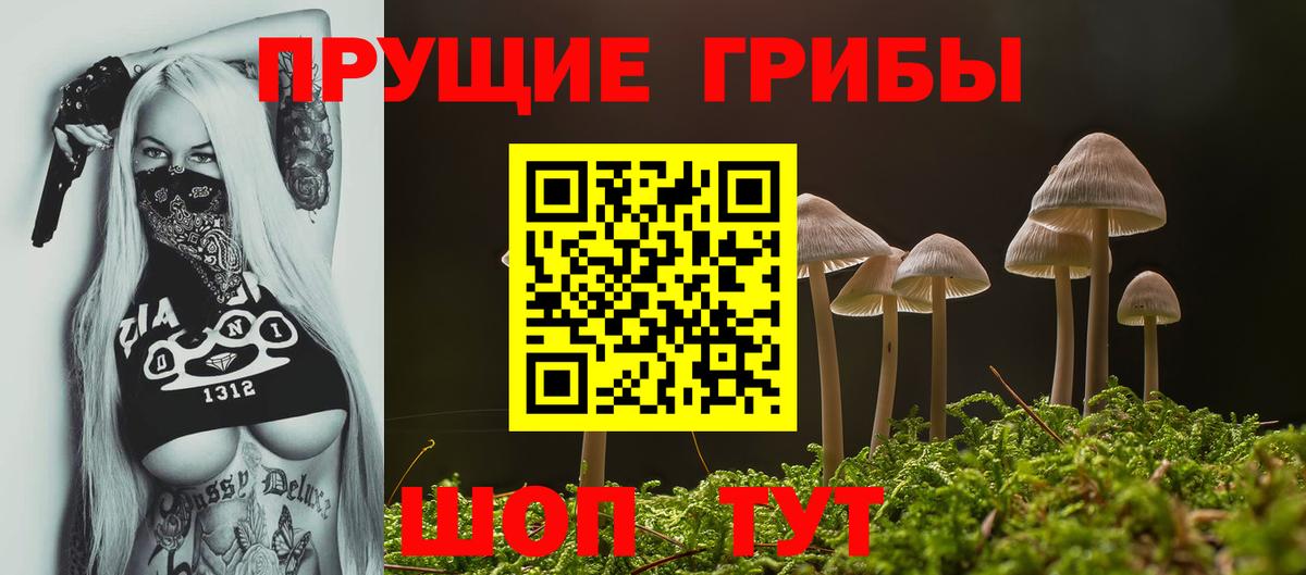 Псилоцибиновые грибы Magic Shrooms  Вход с VPN  Бузулук 